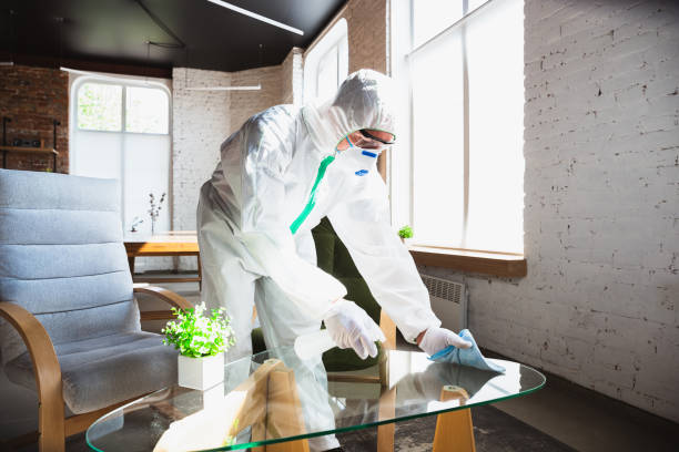 Mold Odor Removal Services in North Seekonk, MA